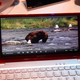 Illustration for article titled Sony Vaio P Super Dont-Call-It-a-Netbook Hands On